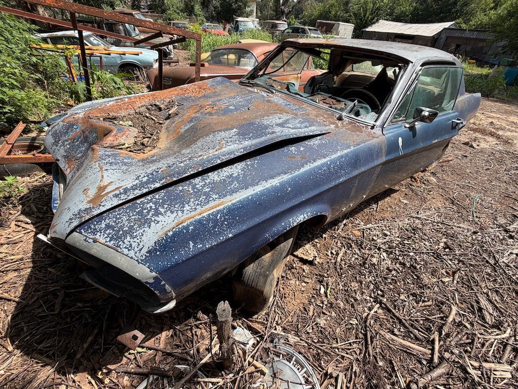 1967 Ford Mustang- No Engine or Transmission