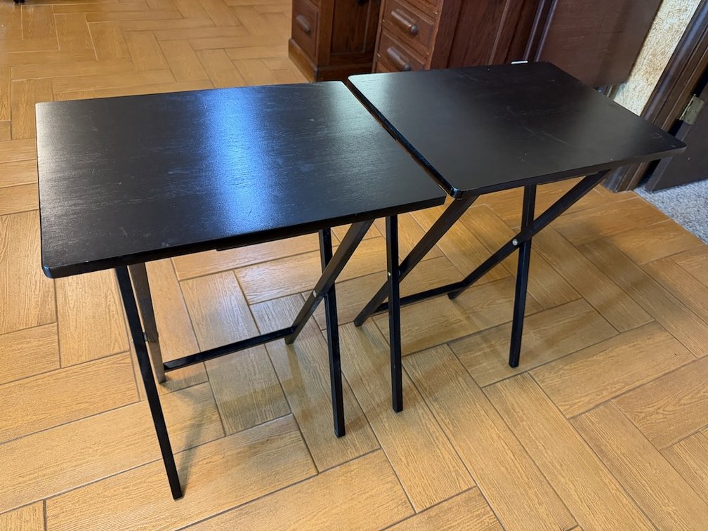 Set of 2 Matching, Folding TV Trays