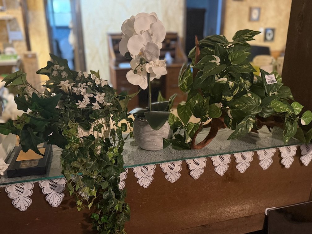 Lot of Floral & Greenery With Pots