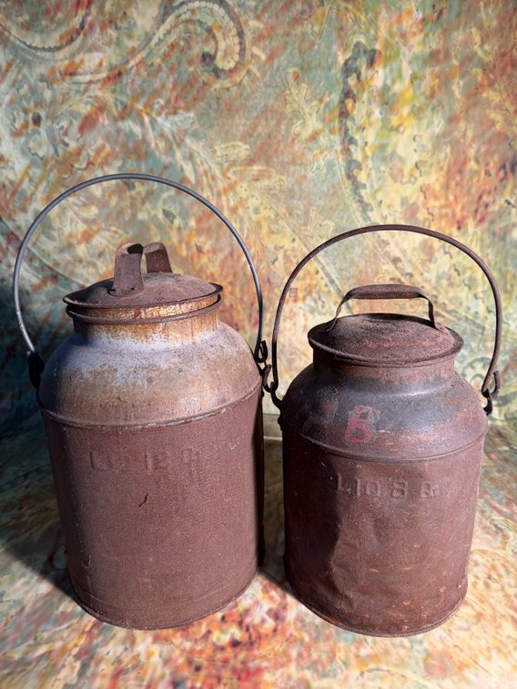 Set of 2 metal milk cans