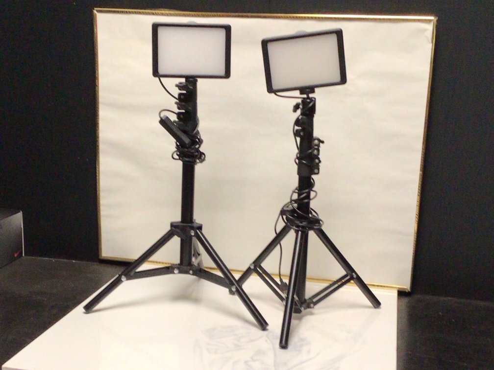 Media Lights For Pod Casting Etc Can Extend To Approx 54 Inches Tall USB Connections