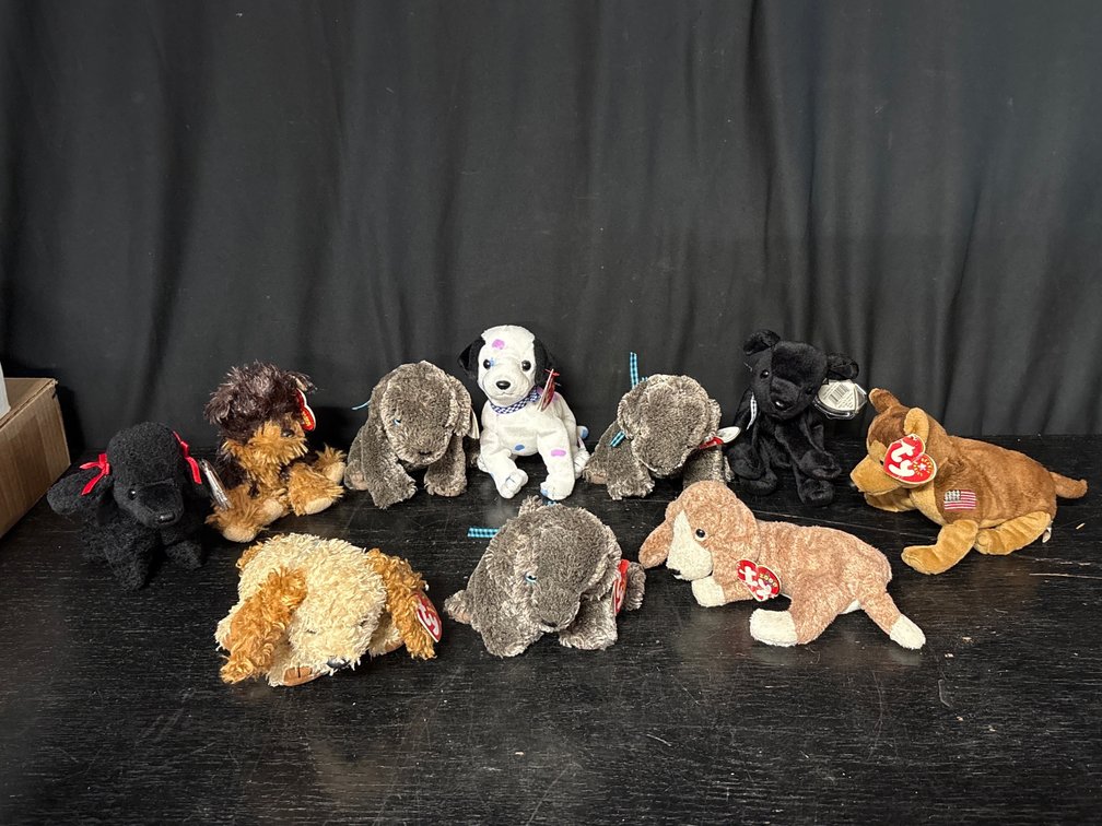 10 Ty Dog Beanie Babies