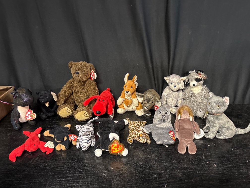 16 Ty Beanie Babies