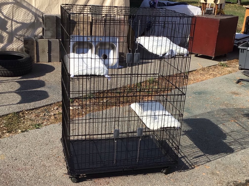 Cat Hotel 3 Spots To Sit  Approx 34 Inches Wide By 34 Deep By 4 Foot Tall