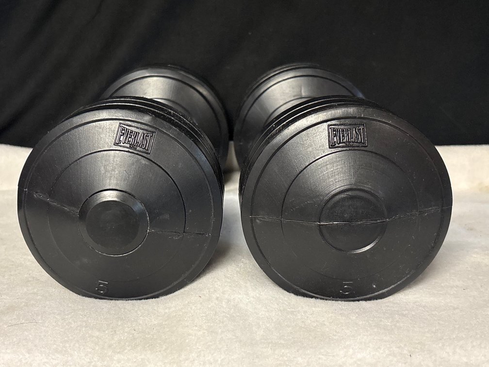 2 5Lb Everlast Dumbbells