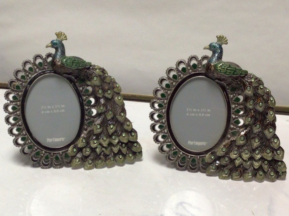 Pier 1 Peacock Picture Frames