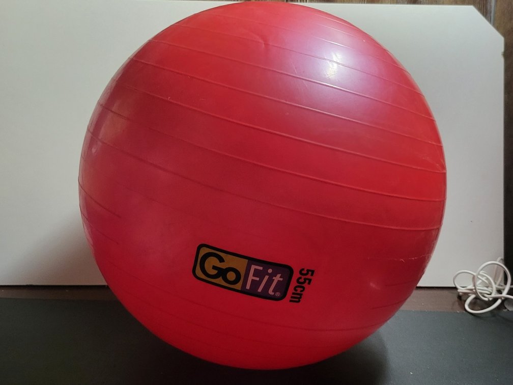 GoFit 55 cm Stability Ball