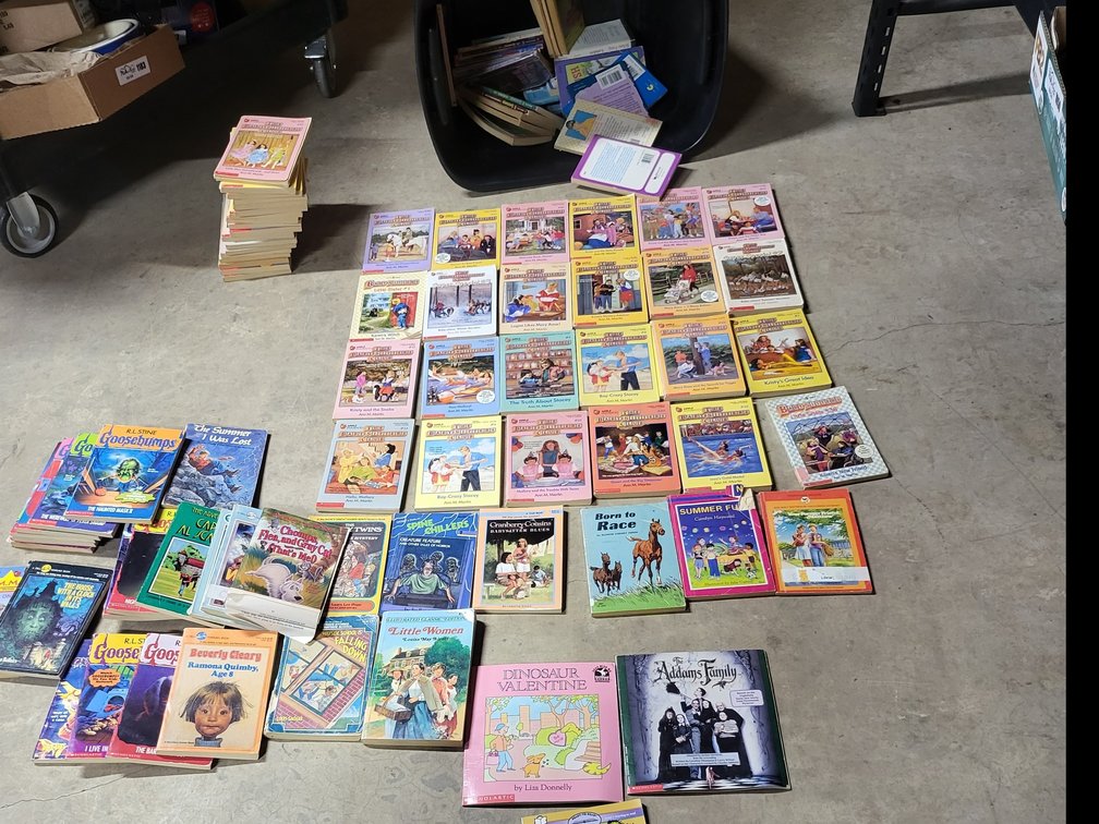 Huge,Children's & Chapter Books Lot - Baby-Sitters Little Sister, Goosebumps & Classics!