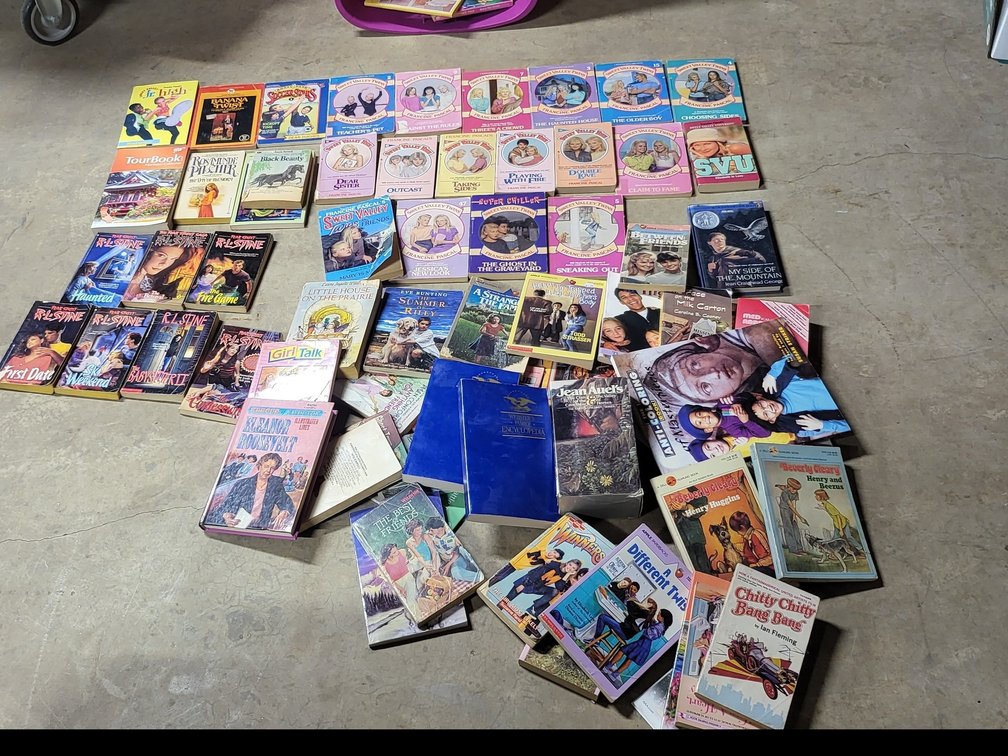 80s/90s YA Books, Huge Sweet Valley Collection & Classic Paperbacks