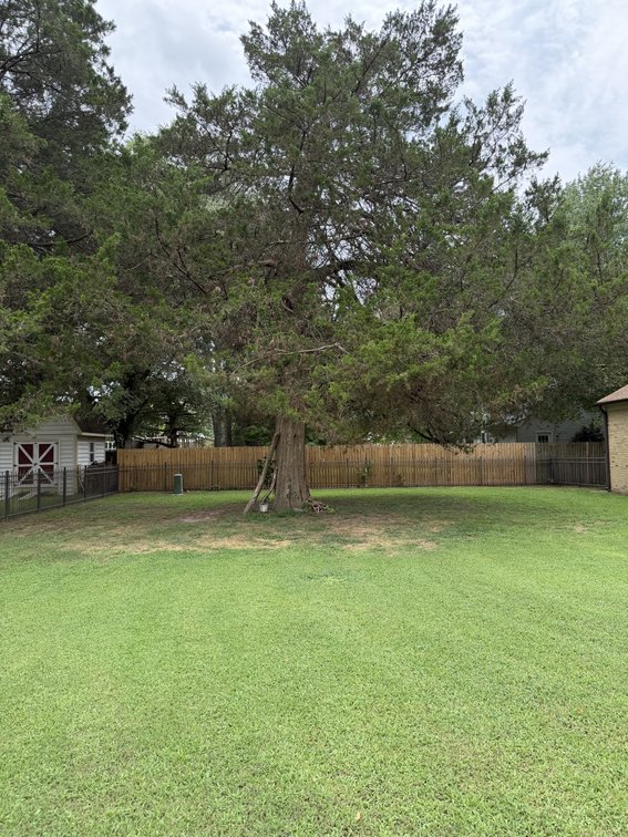 Image for 4507 Twin Pines Drive