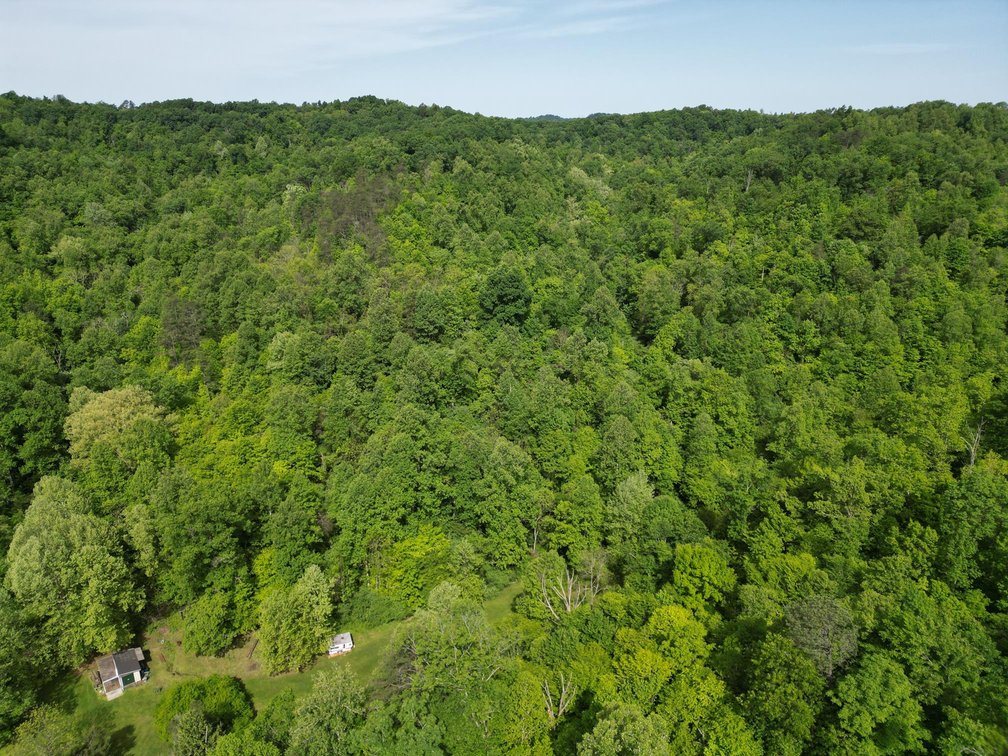 Image for SOLD $167,750 - 116 Beautiful Acres in Cabell County with Easy Access