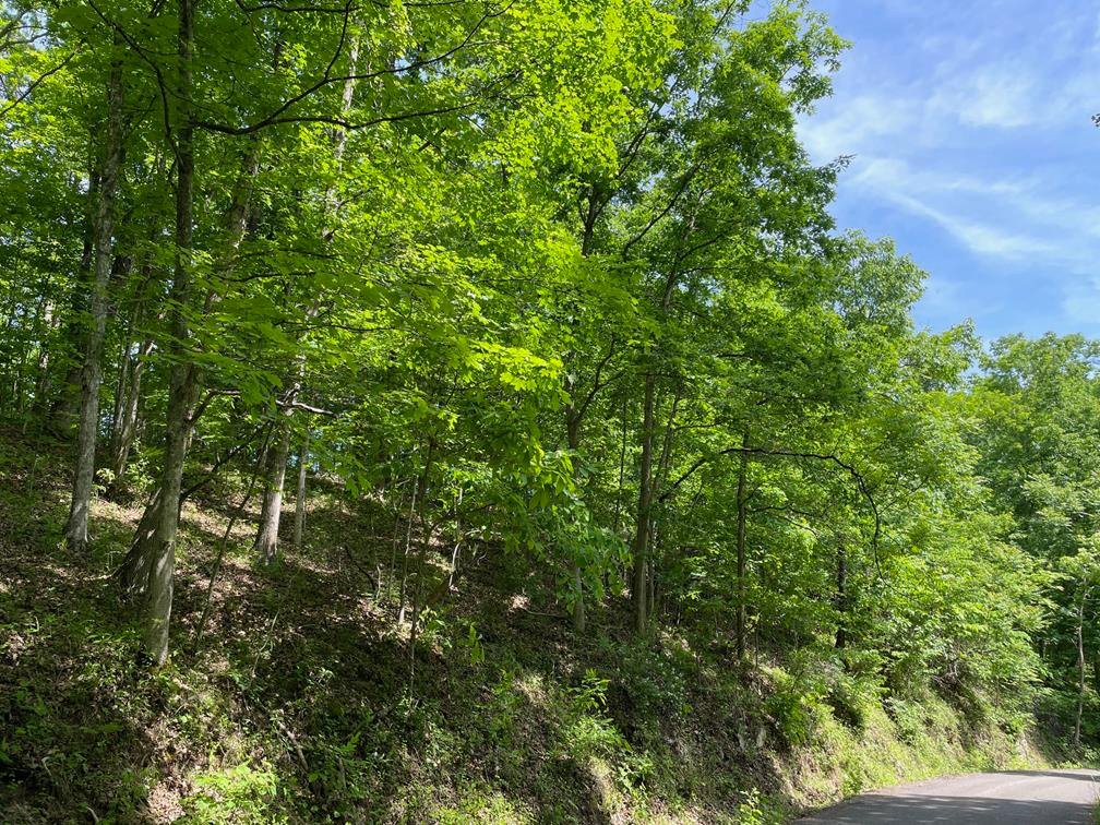Image for SOLD $167,750 - 116 Beautiful Acres in Cabell County with Easy Access