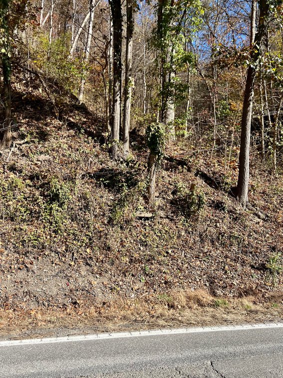 Image for SOLD - 17 Wooded Acres in Madison Selling to the Highest Bidder