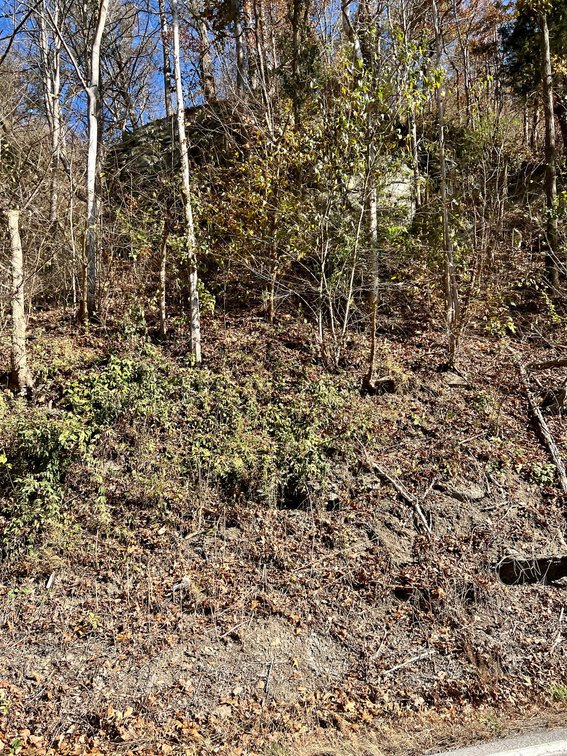 Image for SOLD - 17 Wooded Acres in Madison Selling to the Highest Bidder