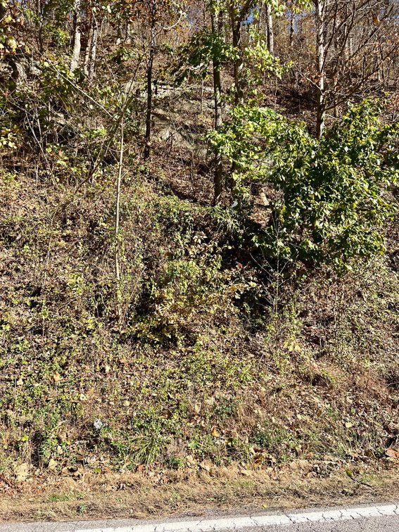 Image for SOLD - 17 Wooded Acres in Madison Selling to the Highest Bidder