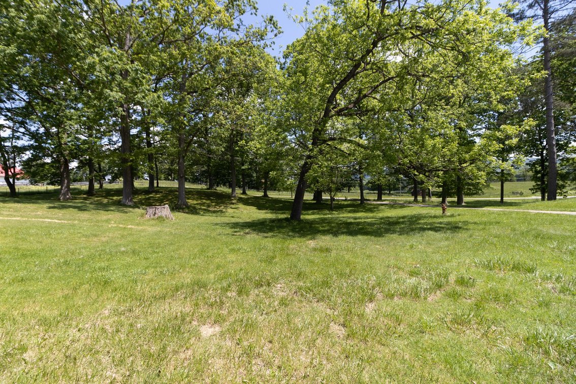 Image for SOLD $550,000 - The Historic Odd Fellows Home of Elkins Selling to the Highest Bidder