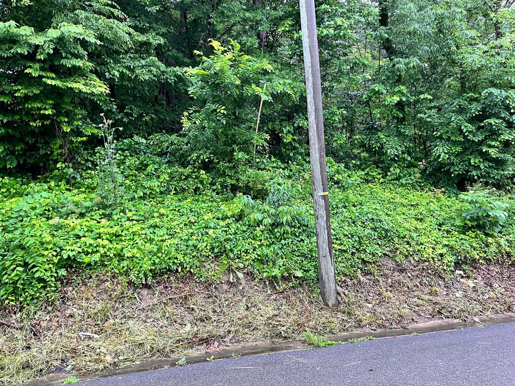 Image for 7 Kanawha County Properties Selling to the Highest Bidders