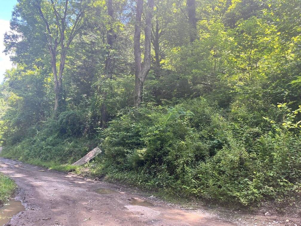 Image for 7 Kanawha County Properties Selling to the Highest Bidders