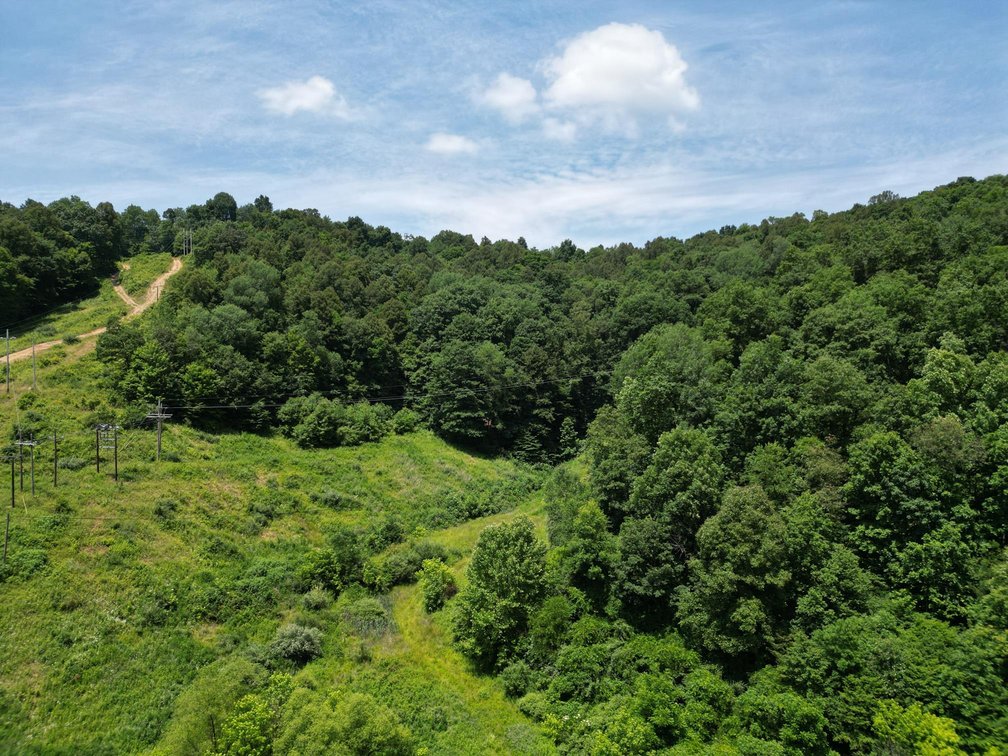 Image for SOLD $66,000 - 43 Acres in Marion County Selling to the Highest Bidder