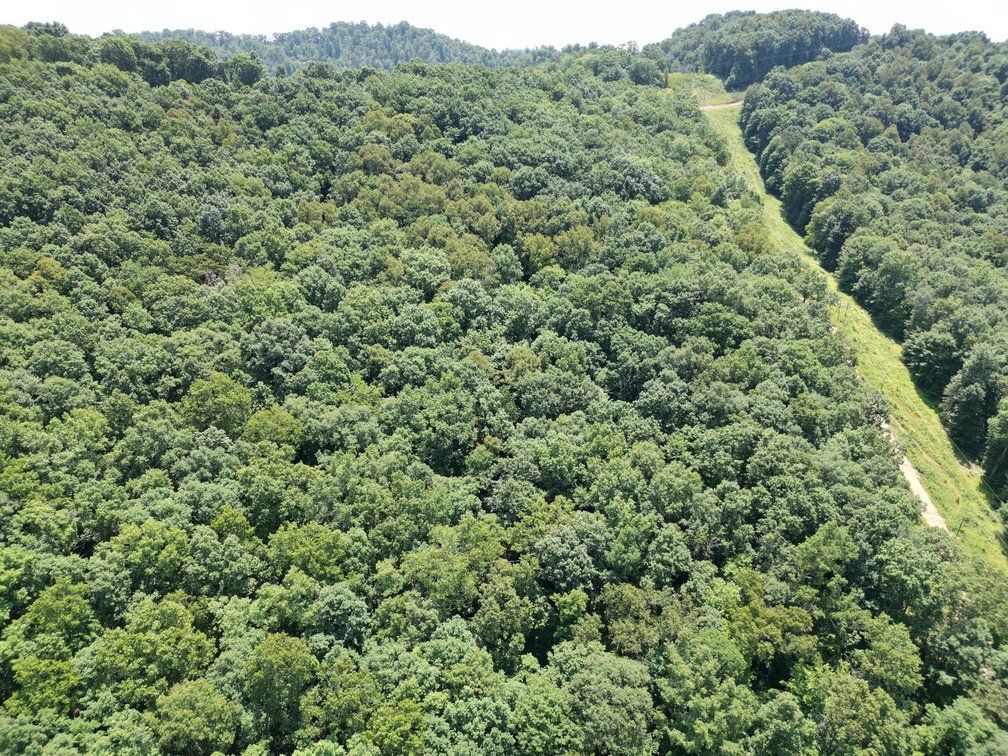 Image for SOLD $66,000 - 43 Acres in Marion County Selling to the Highest Bidder