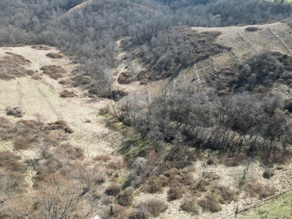 Image for SOLD $220,000 - 81 Acres in Marshall County