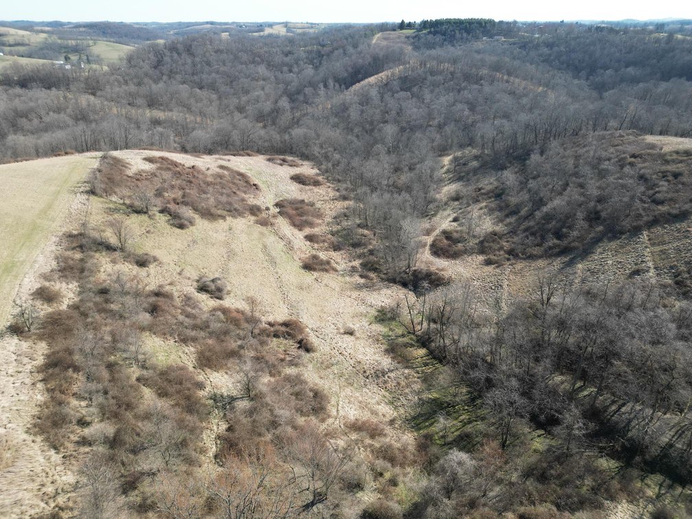 Image for SOLD $220,000 - 81 Acres in Marshall County