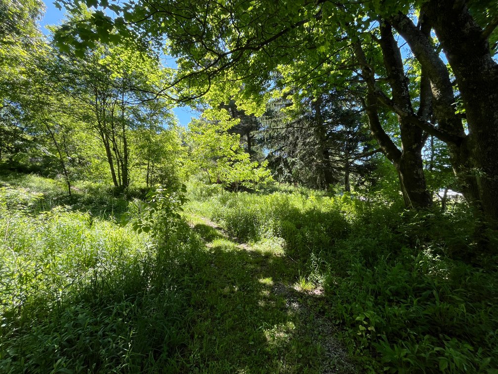 Image for SOLD - 3 Bedroom on Half an Acre in Terra Alta