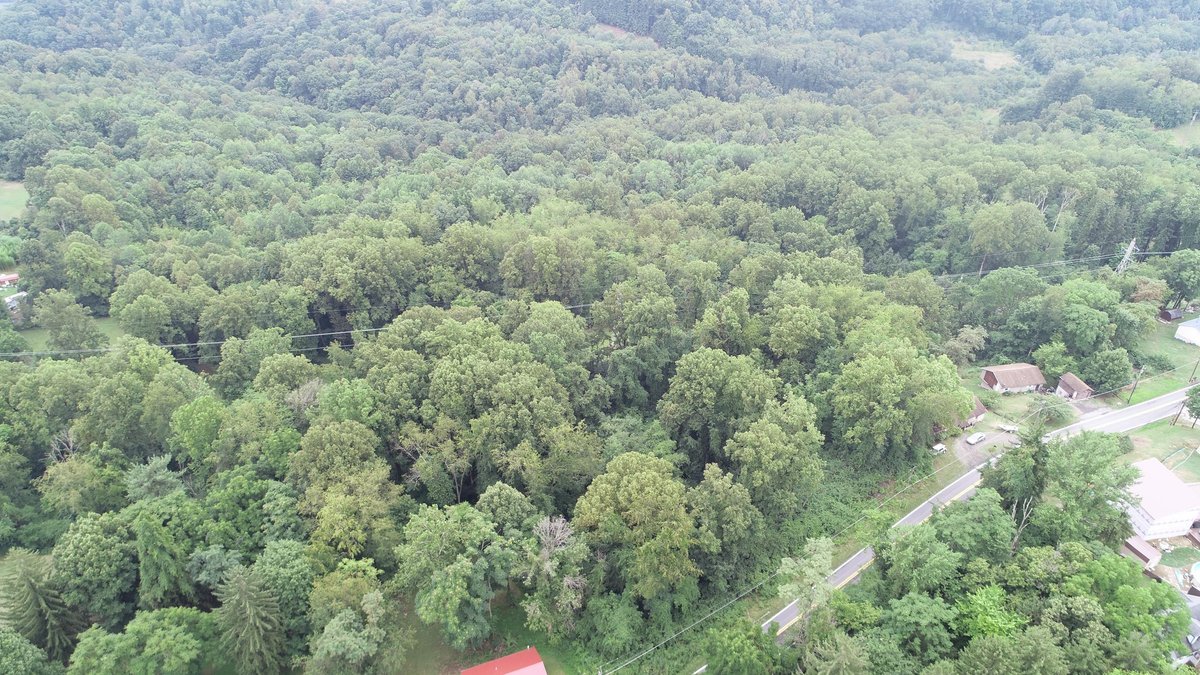 Image for SOLD $231,000 - 42 Acres Along Stewartstown Road near Cheat Lake