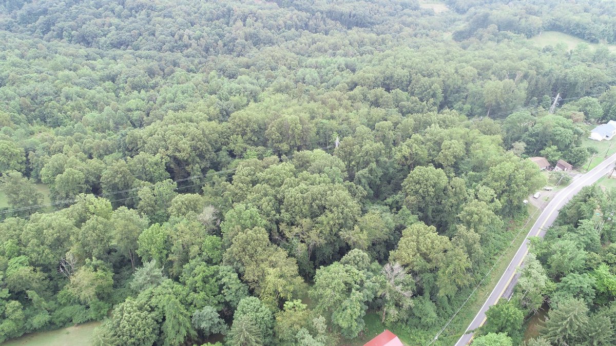 Image for SOLD $231,000 - 42 Acres Along Stewartstown Road near Cheat Lake