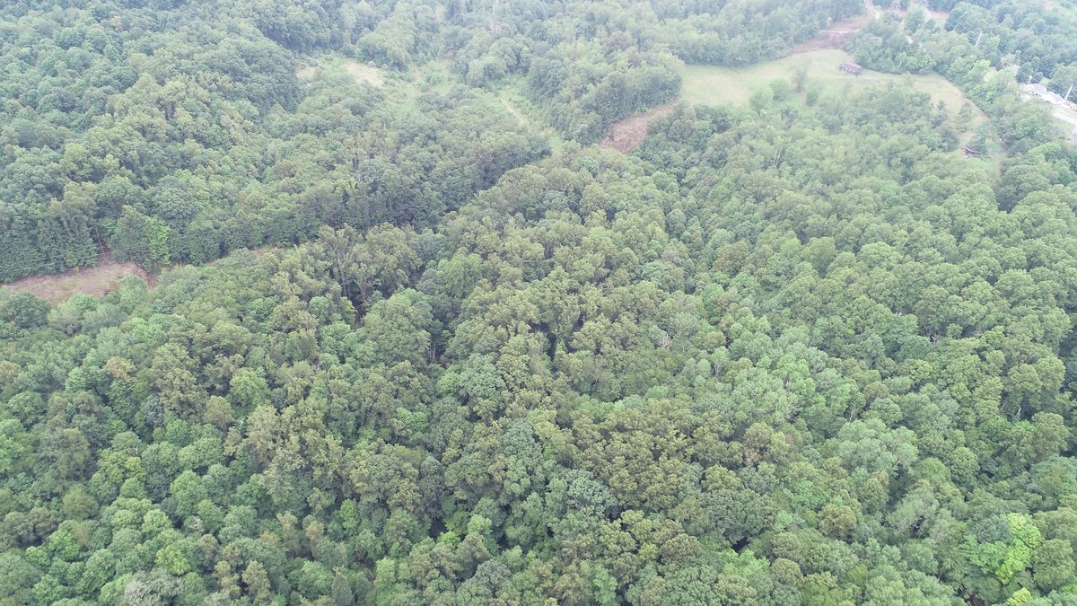 Image for SOLD $231,000 - 42 Acres Along Stewartstown Road near Cheat Lake