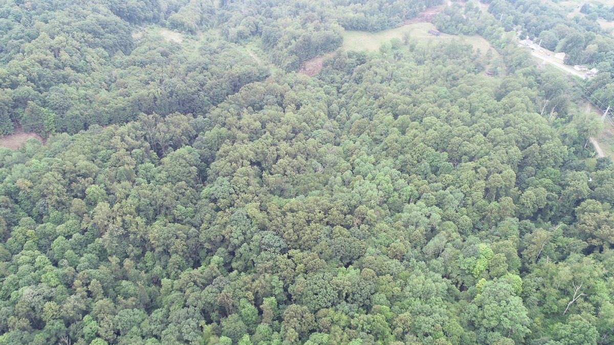Image for SOLD $231,000 - 42 Acres Along Stewartstown Road near Cheat Lake