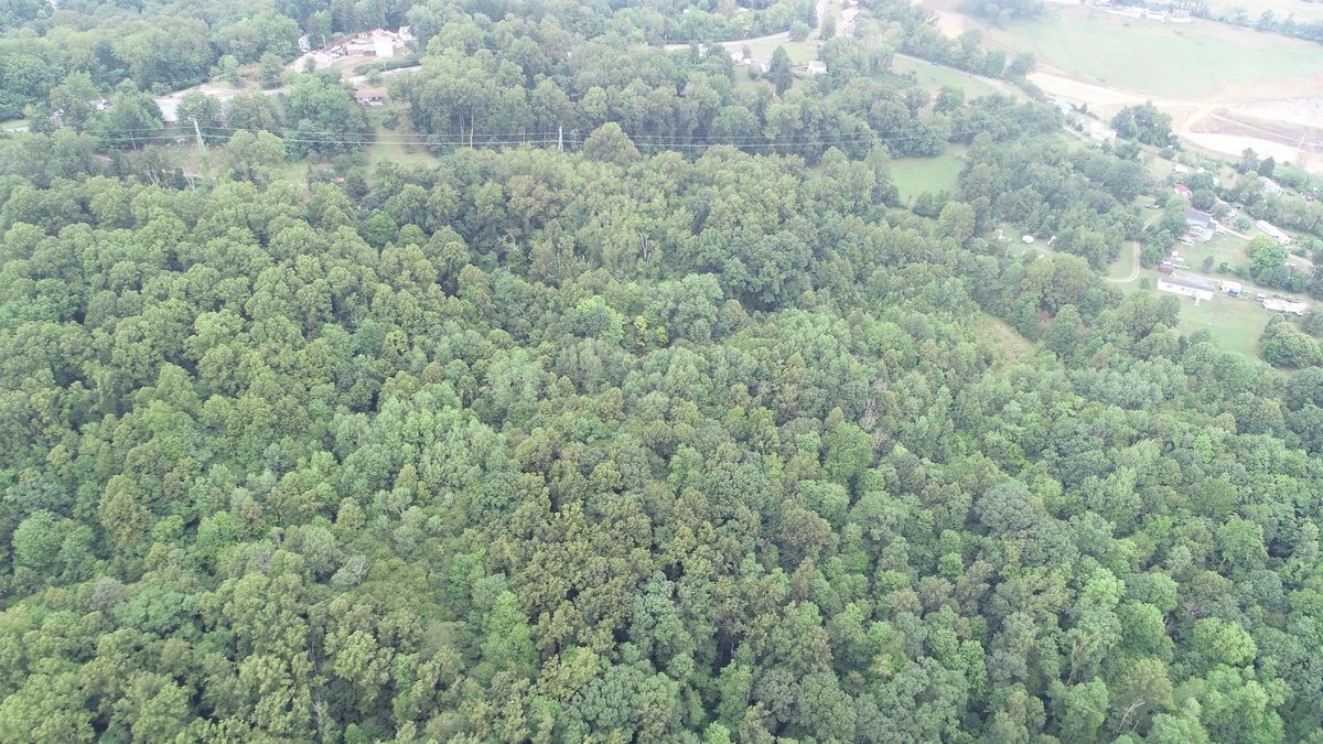 Image for SOLD $231,000 - 42 Acres Along Stewartstown Road near Cheat Lake