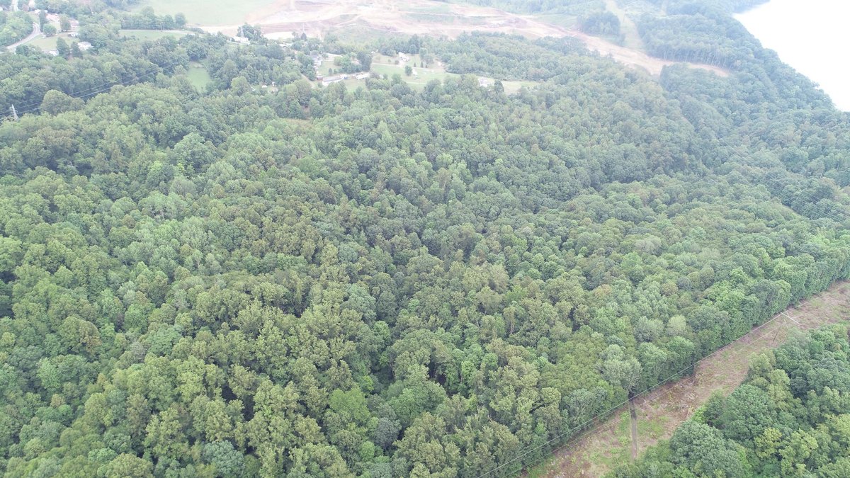Image for SOLD $231,000 - 42 Acres Along Stewartstown Road near Cheat Lake