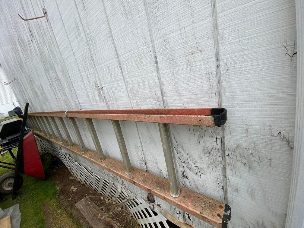12' Ladder