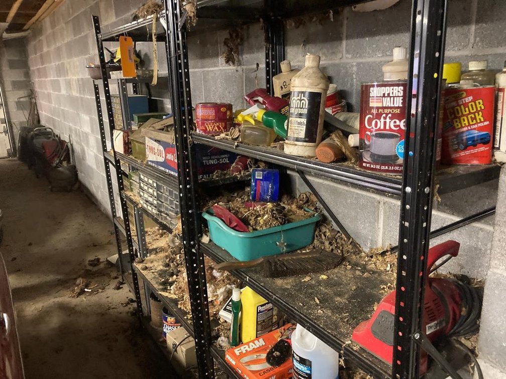 Lot of 3 shelves:  Organizers, light bulbs, brake fluid