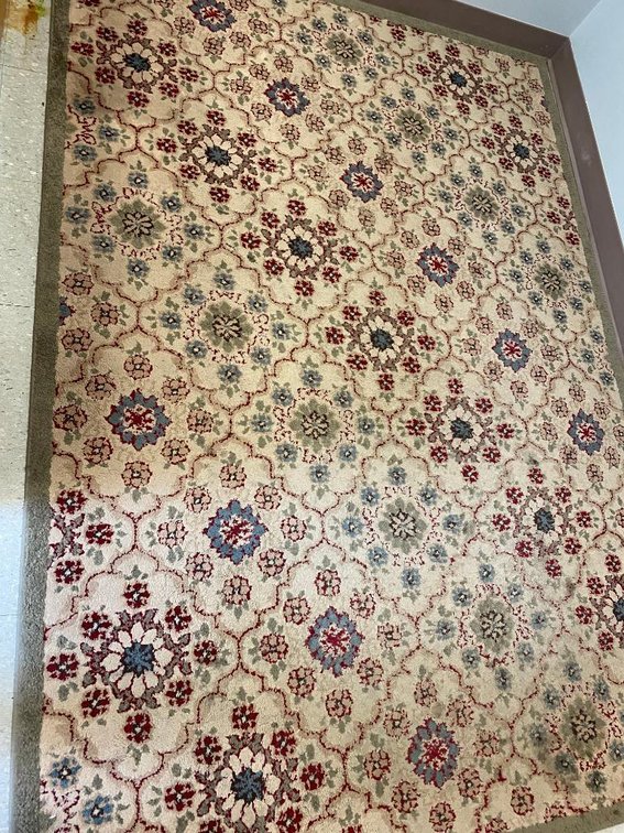 4x8 Area Rug