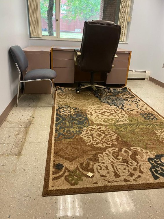 2 Desks, 2 Chairs and 4x8 Area Rug