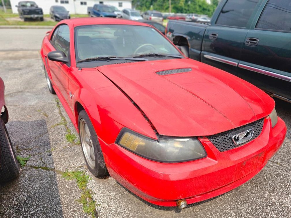 2001 Mustang