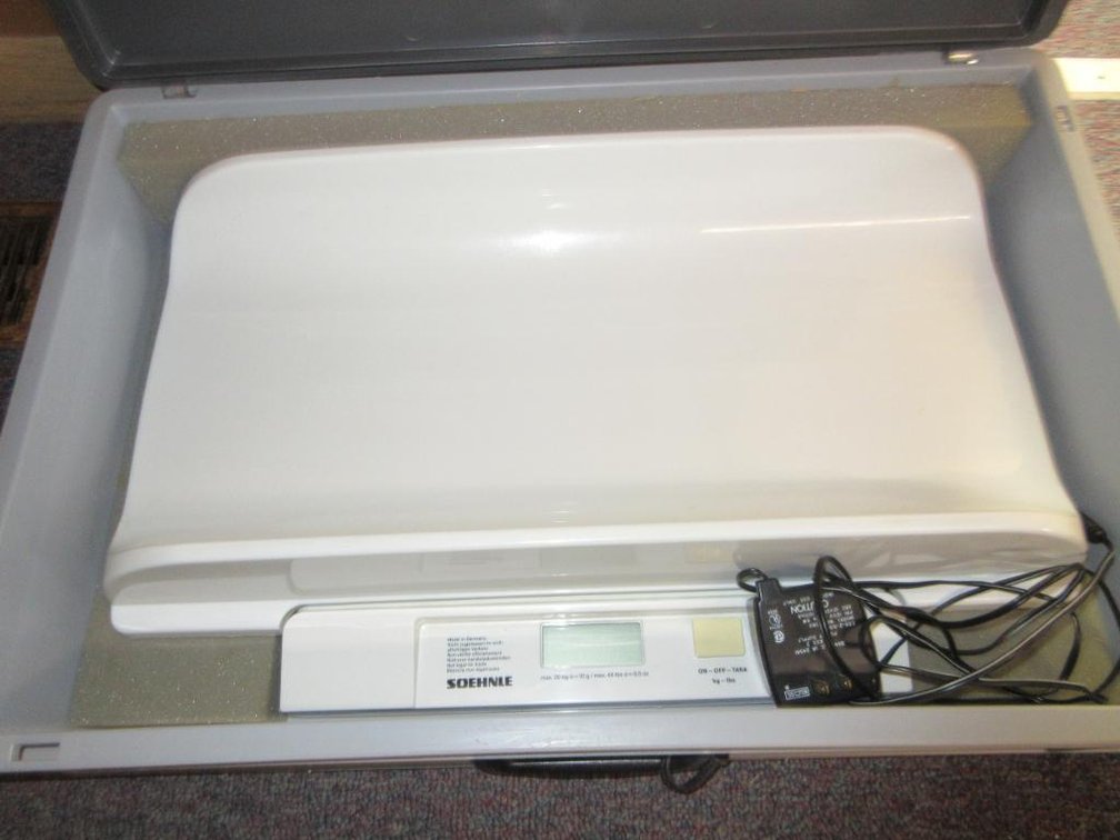 Digital baby scale