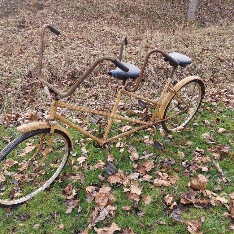 Bike Built for Two