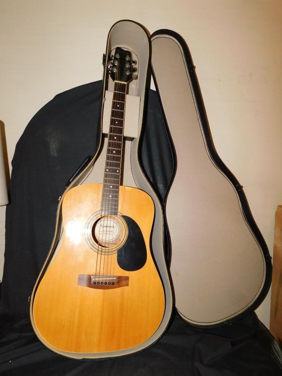Samick acoustical guitar w/ case