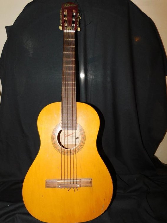 Sekova acoustical guitar No. 711