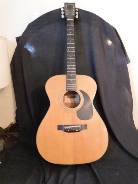 Magnum No. 305 guitar - no strings