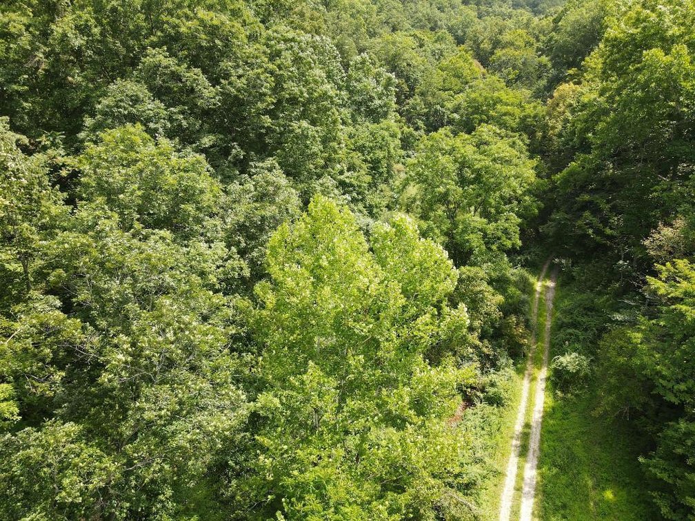Image for SOLD $253,000 - 184 Total Acres with Home & Timber Sold in Parcels