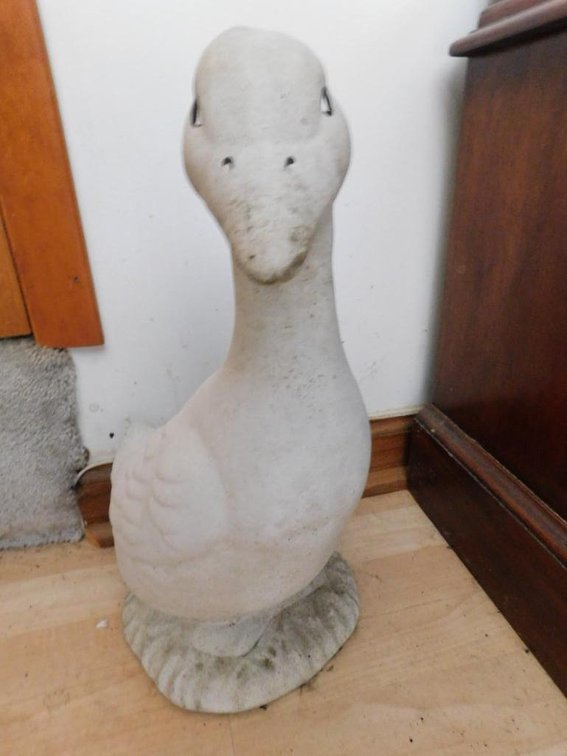 Cement duck