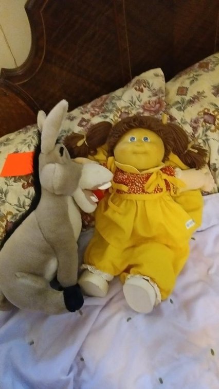 Cabbage Patch doll and stuffed Donkey from Shrek