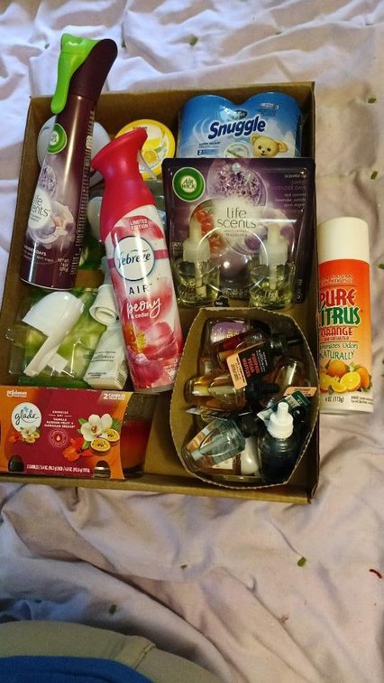 Air freshener assortment