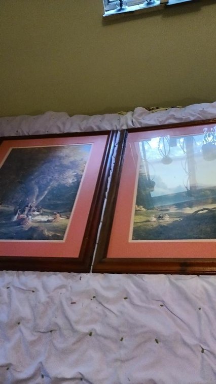 2 Large pictures approx. 2' by 3'