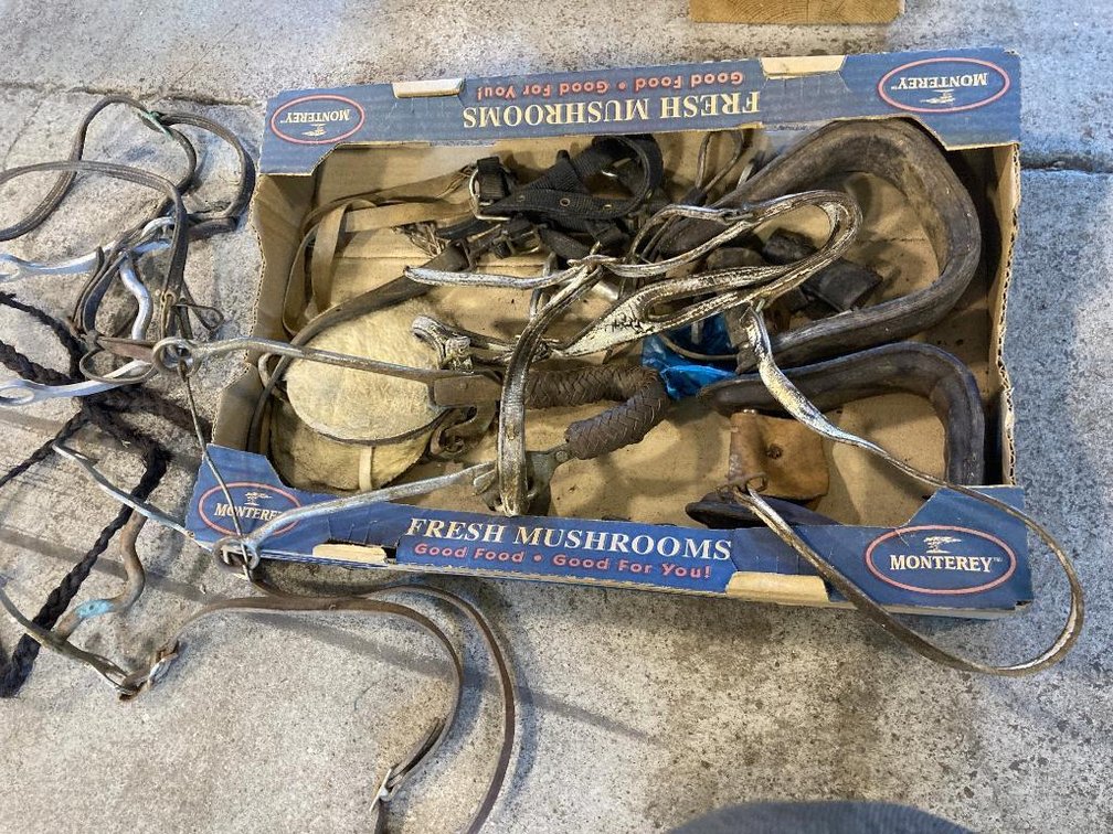Lot of horse tack: Bits, stirrups, etc.