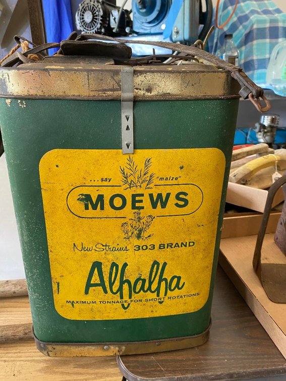 Moews Alfalfa can and small horse bridle